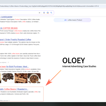 OLOEY Internet Advertising Services,Suitable for Google Ads campaigns, video ad design and placement, and custom advertising
