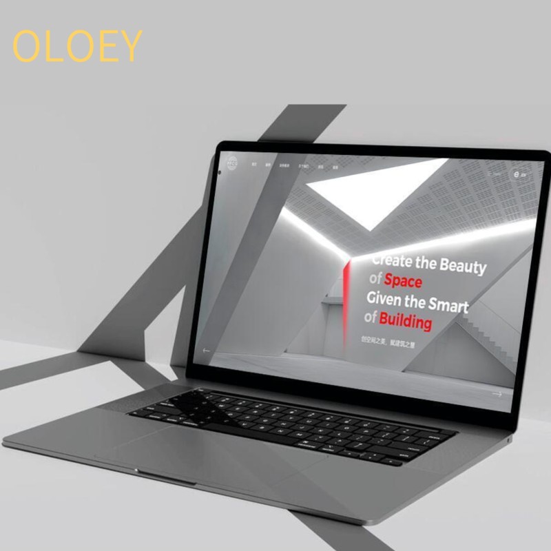 OLOEY Web Design - Internet Advertising Creative
