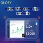 OLOEY Ad Campaign Analysis - Integrated Marketing Service