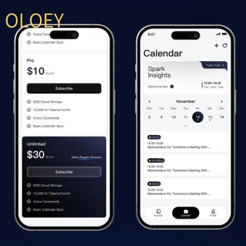 OLOEY App Subscription - Business Strategy Consultancy Showcase