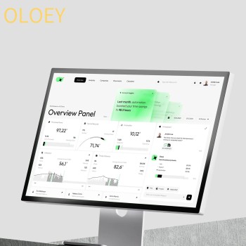 OLOEY Data Dashboard - Online Advertising Analytics
