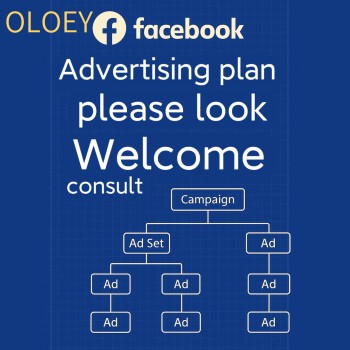 OLOEY Facebook Ad Plan - Online Advertising on Communication Networks