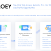 OLOEY Independent Store Setup, Online Store Development, E-commerce Sales Strategy, Platform Construction