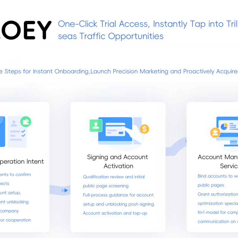 OLOEY Independent Store Setup, Online Store Development, E-commerce Sales Strategy, Platform Construction