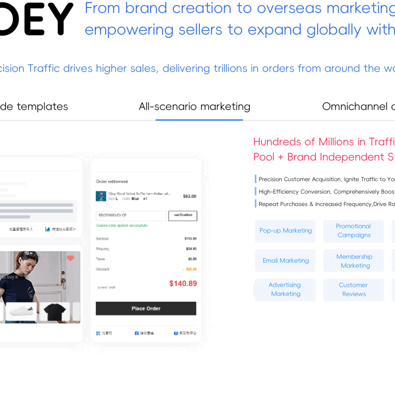 OLOEY Independent Store Setup, Online Store Development, E-commerce Sales Strategy, Platform Construction