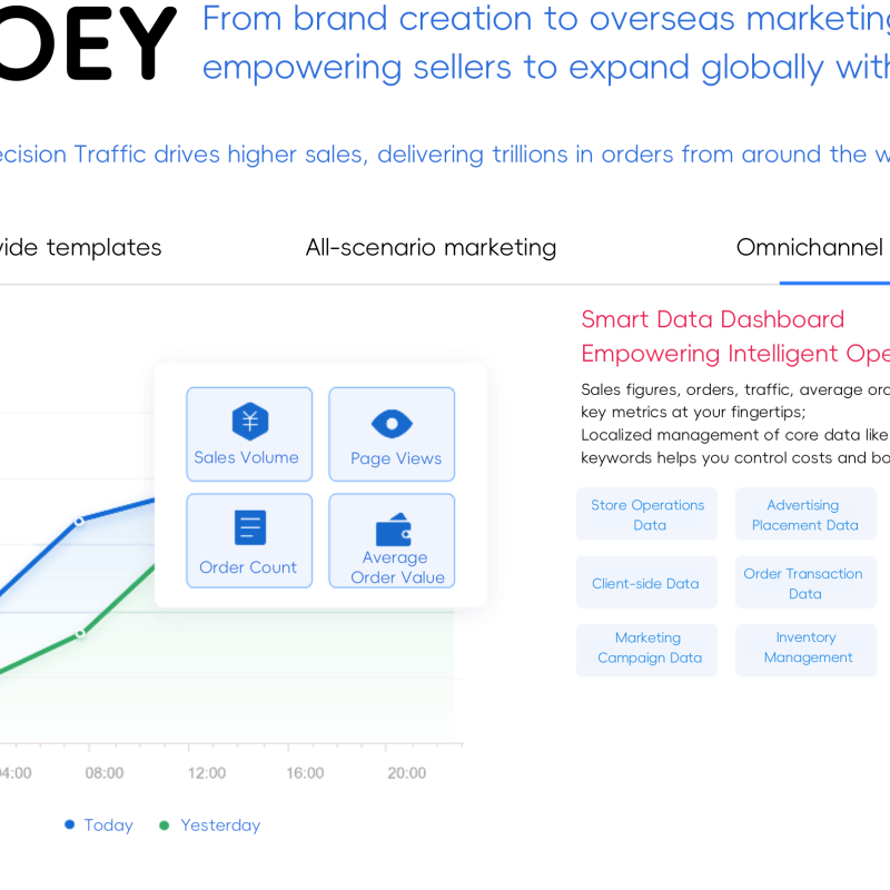 OLOEY Independent Store Setup, Online Store Development, E-commerce Sales Strategy, Platform Construction