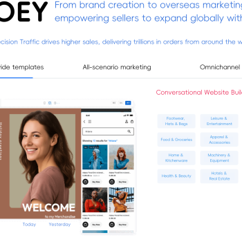 OLOEY Independent Store Setup, Online Store Development, E-commerce Sales Strategy, Platform Construction