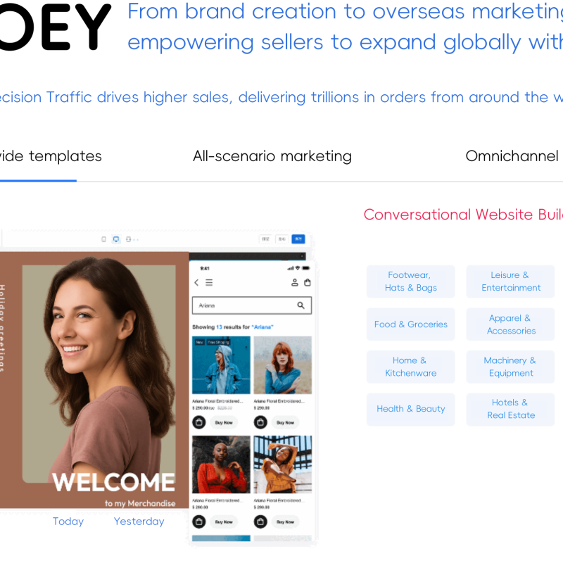 OLOEY Independent Store Setup, Online Store Development, E-commerce Sales Strategy, Platform Construction