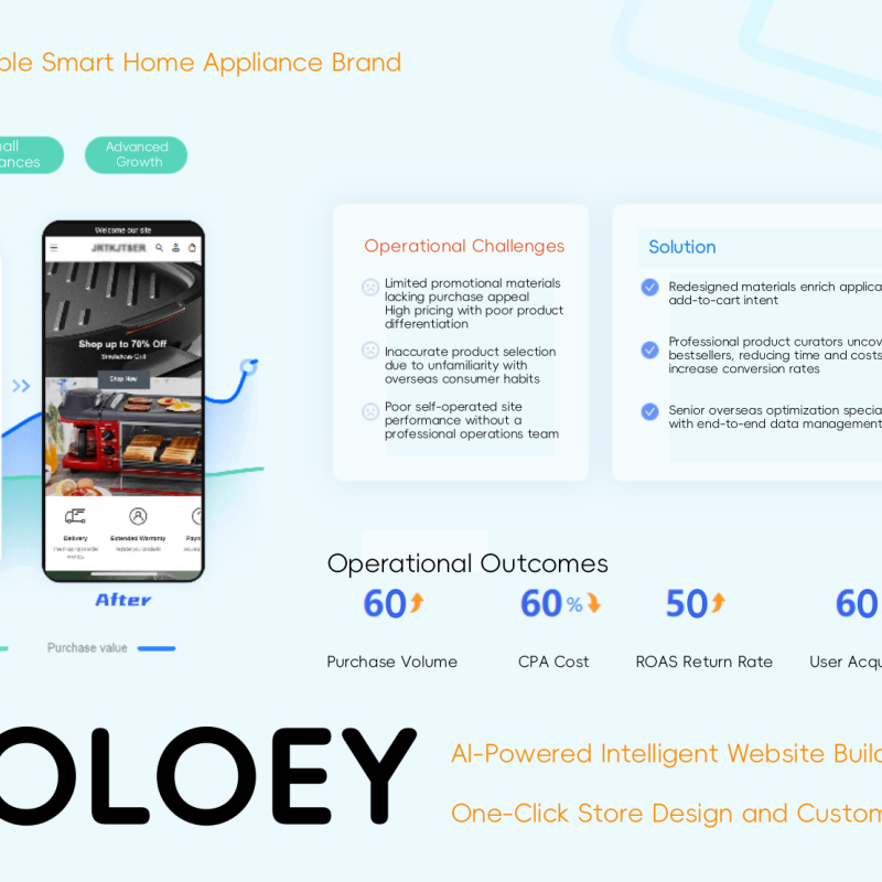 OLOEY Sales Promotion Planning, Product Discount Campaign Design, Brand Sales Discount Strategy