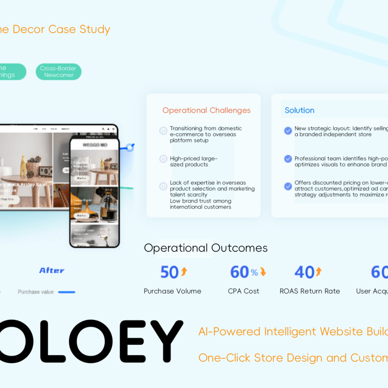 OLOEY Sales Promotion Planning, Product Discount Campaign Design, Brand Sales Discount Strategy