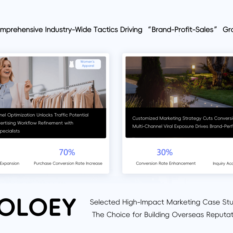 OLOEY Advertising Design & Promotion, Brand Marketing, Brand Product Promotion Campaign Planning, Brand Overseas Expansion