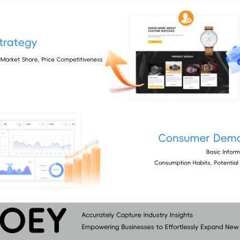 OLOEY Market Research, Marketing, Industry Surveys, Market Studies