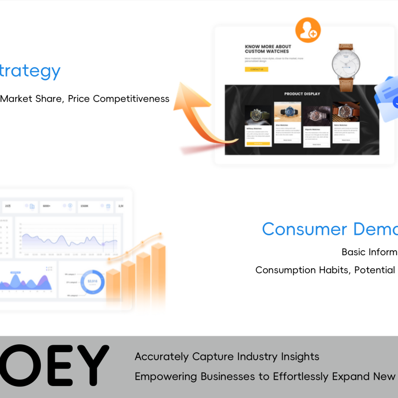 OLOEY Market Research, Marketing, Industry Surveys, Market Studies