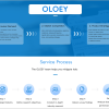 OLOEY Market Research, Marketing, Industry Surveys, Market Studies