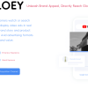 OLOEY is suitable for Google Chrome promotion, online advertising, and website ad placement campaigns