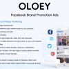 OLOEY for Facebook Advertising, Online Promotion, Brand Building, and Brand Promotion Design
