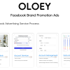 OLOEY for Facebook Advertising, Online Promotion, Brand Building, and Brand Promotion Design