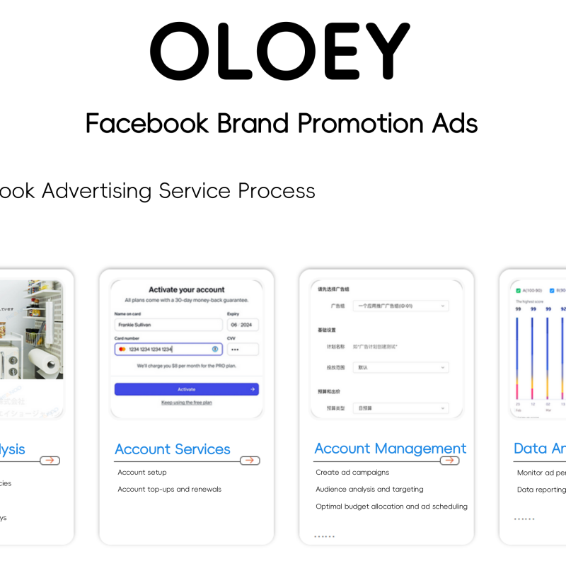 OLOEY for Facebook Advertising, Online Promotion, Brand Building, and Brand Promotion Design