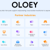 OLOEY for Facebook Product Promotion, Product Advertising, Product Listing Traffic Generation, and Smart Placement